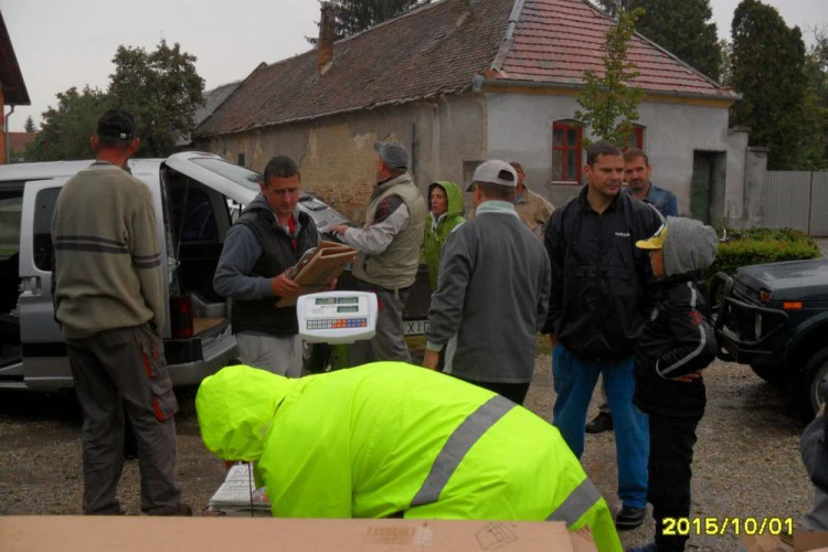 1455007530-0378-1-1499858352.jpg
