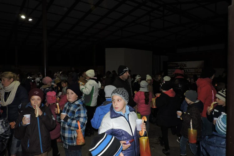 1479886209-8993-lampion-felvonulas-lebeny-4jpg-1499861952.jpg