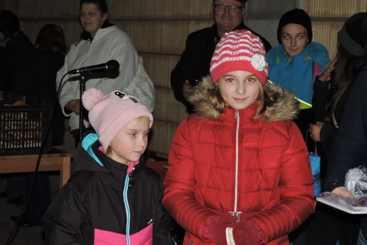1479886713-0546-lampion-felvonulas-lebeny-10jpg-1499861951.jpg