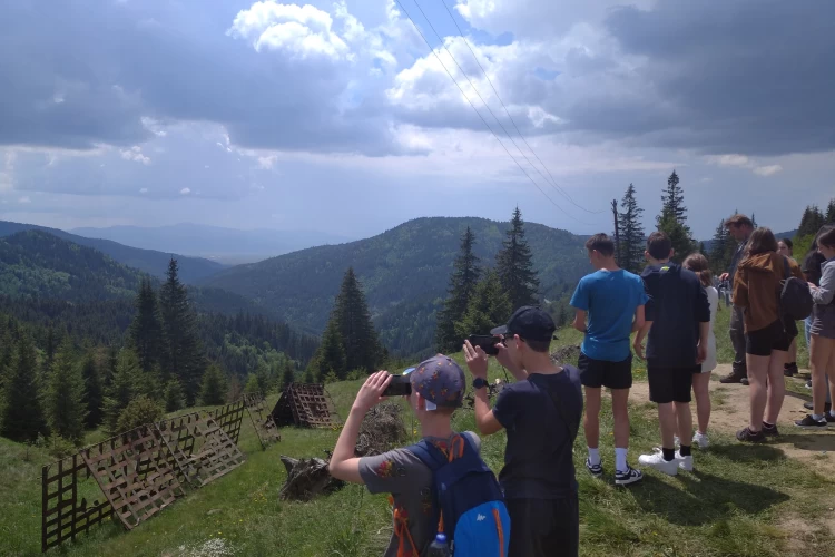 48 Pongrácz tető