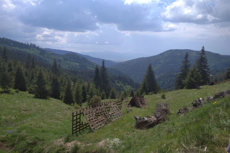 49 Pongrácz