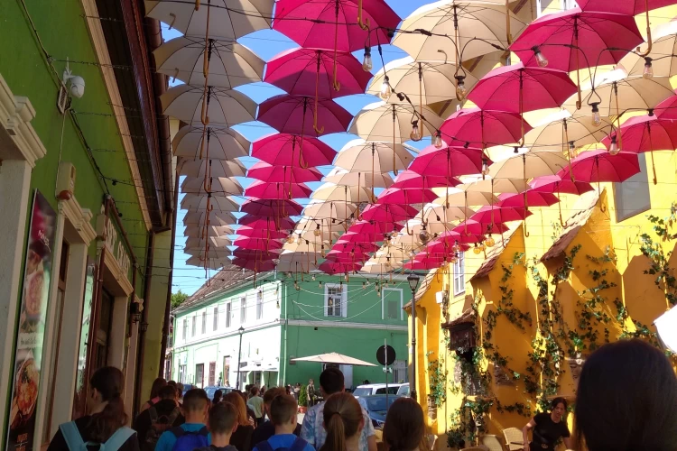67 Segesvár