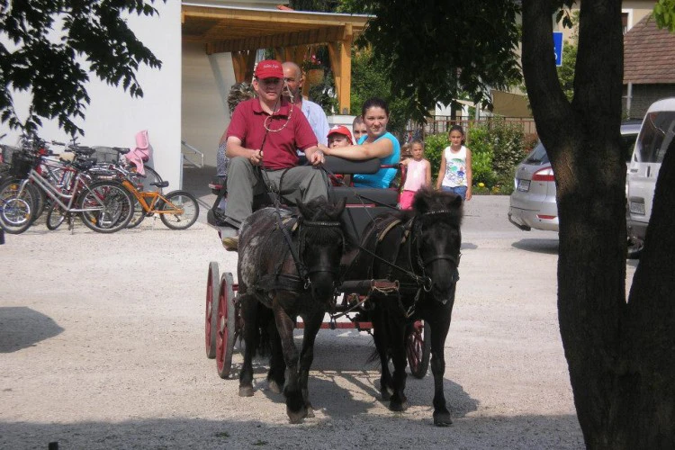 csaladi-nap-lebenyben-005-1704515-3495-1499849081.jpg