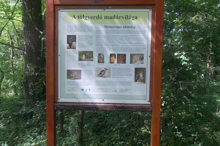 dscn7837-1499855937.JPG