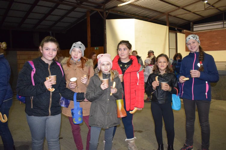 lebeny-iskola-lampionos-felvonulas-10-1573478149.JPG