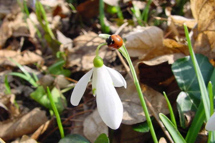 nemzeti-park-lebeny-4-1397983-1334-1499855938.jpg