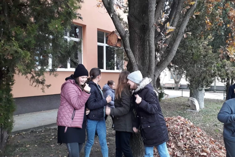 öko1