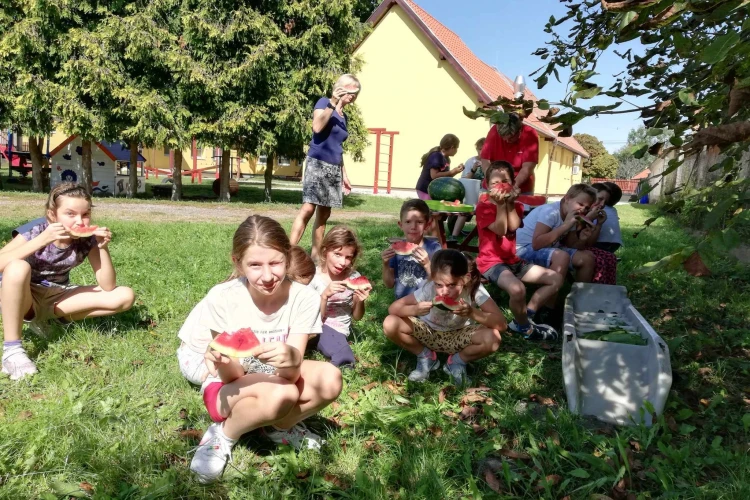 ősz (4)