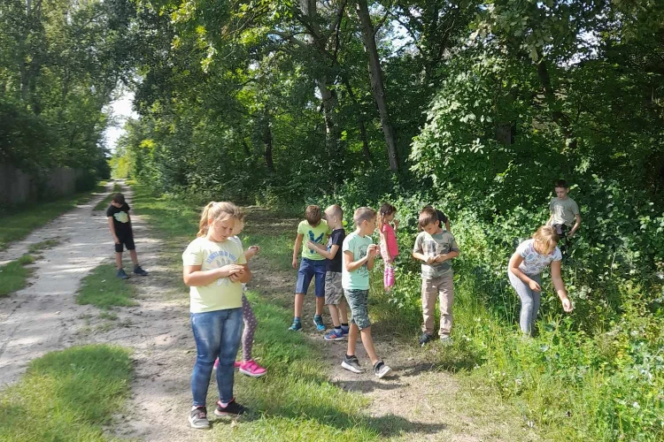 ősz (5)