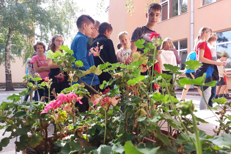 őszii (3)