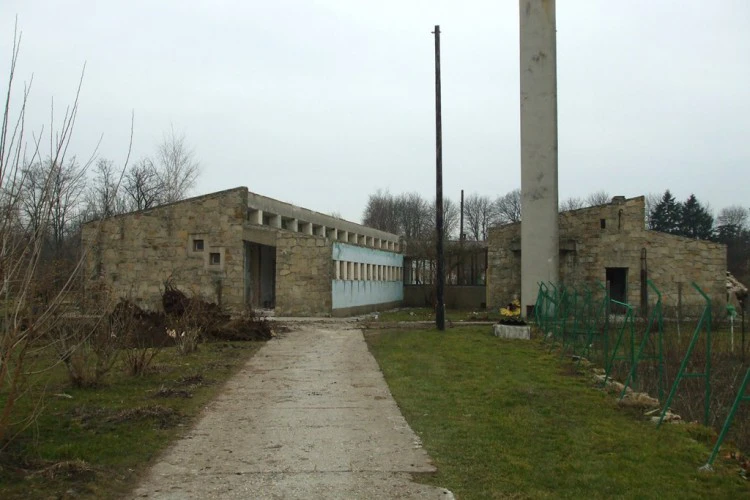 ovi-epul-6-1499849379.jpg
