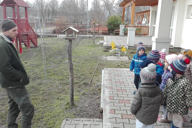 ovoda-madar-gyuruzes-lebeny-3-1522842335.jpg