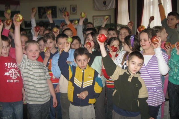 phoca-thumb-l-almaprogram-1499841033.jpg