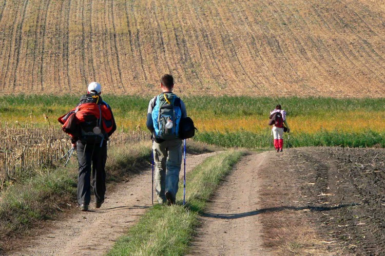 szentjakab04-1499849606.JPG