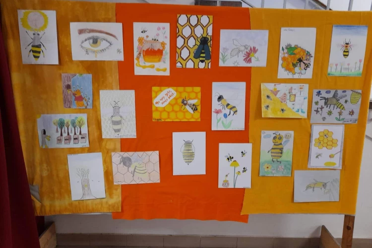 versenyMÉH (1)